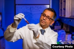 Kattesh Katti, PhD, University of Missouri, prepares nanoparticles to fight liver cancer. (Credit Justin Kelley, U. of MO)
