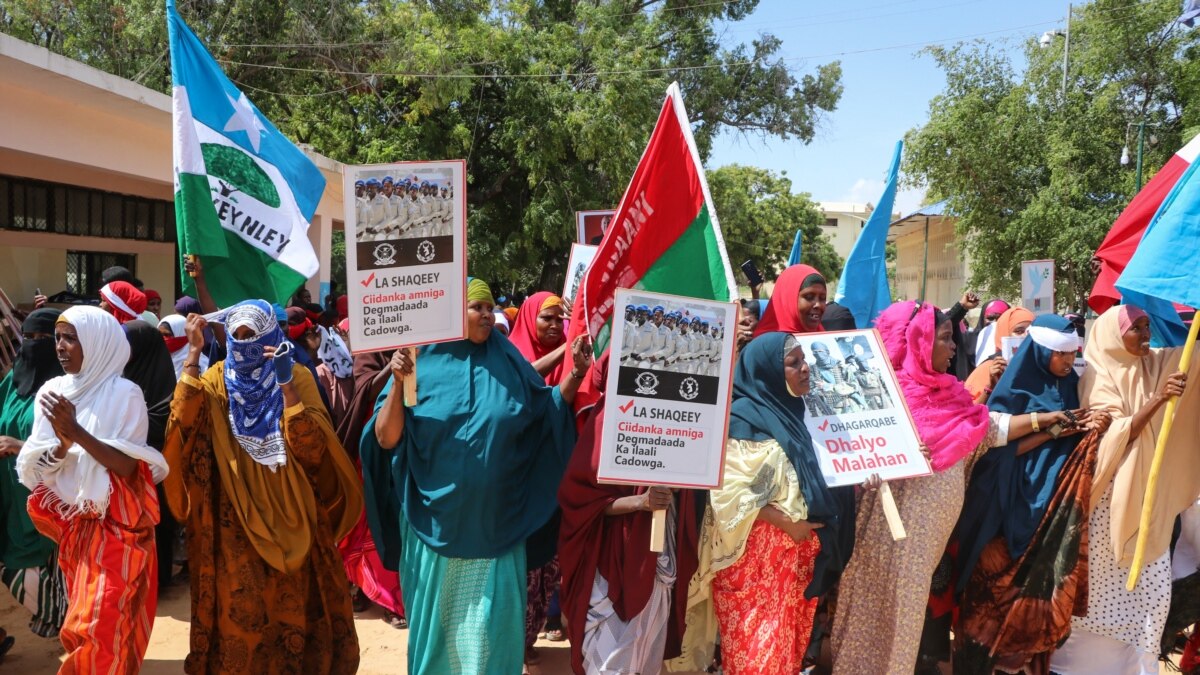 Somalia Court Convicts Foreigners for Membership in al-Shabab