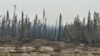 FILE - Wildfires devastated this forest between Enterprise and Kakisa, Northwest Territories, Canada, Aug. 15, 2023. A study released June 27, 2024, says last year's Canadian wildfires released more carbon dioxide into the atmosphere than 647 million cars do in a year.