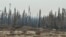 FILE - Wildfires devastated this forest between Enterprise and Kakisa, Northwest Territories, Canada, Aug. 15, 2023. A study released June 27, 2024, says last year's Canadian wildfires released more carbon dioxide into the atmosphere than 647 million cars do in a year.
