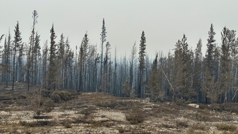 Canada's 2023 fires spewed more heat-trapping gas than millions of cars
