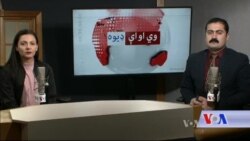 بي بي شیرینه – د ډیوه ریډیو په ټی وي خپرونه