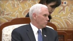 اخبار شامگاهی