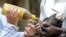 Soysambu Raptor Centre Director Simon Thomsett prepares to fix a prosthesis leg on an Augur Buzzard which was electrocuted at the Soysambu Raptor Centre inside Soysambu Conservancy in Nakuru, Kenya, April 12, 2022. 