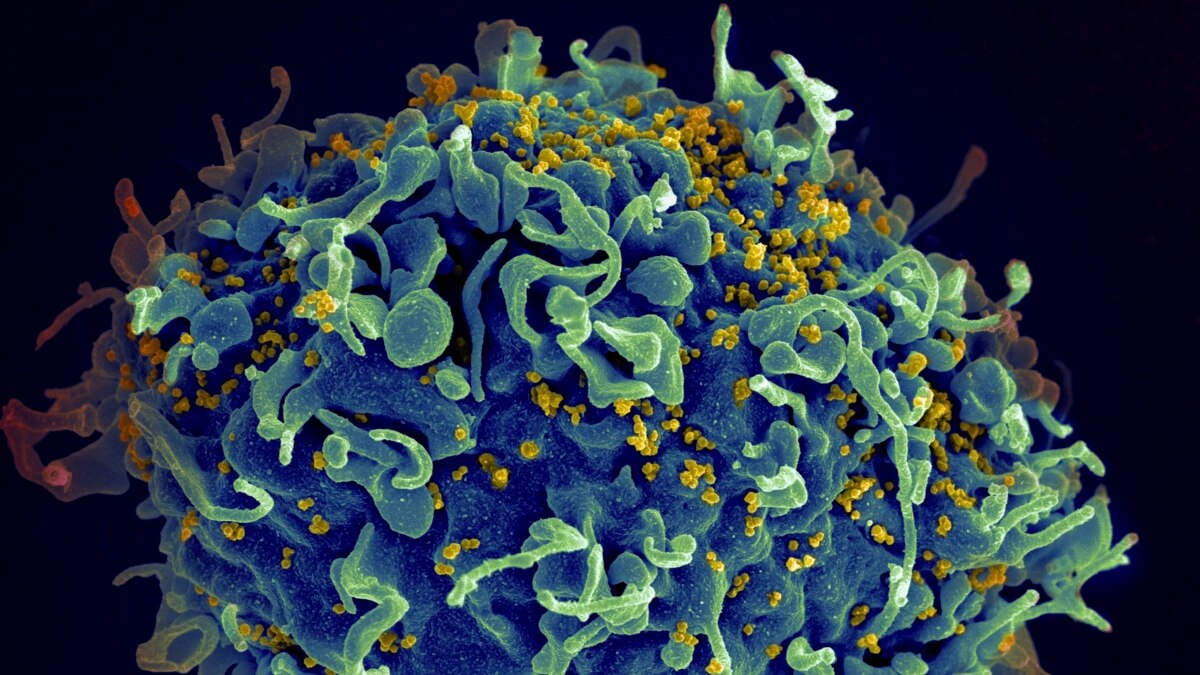 Increased Infectious Disease Risk Likely from Climate Change - Vimarsana News