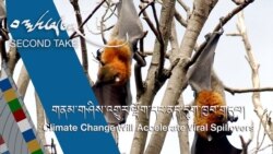 གནམ་གཤིས་འགྱུར་ལྡོག་དང་ནད་དུག་ཁྱབ་གདལ།