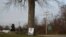 A photo of Doug Wiggington rests against a tree just feet from where he was shocked by a Taser on May 12, 2017, in Greenfield, Indiana, U.S., December 21, 2017. Picture taken December 21, 2017.