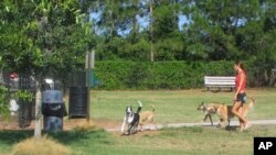 There’s lots of room for romping - for both mutts and their mistresses and masters - at this bark park in Mecca, Florida.