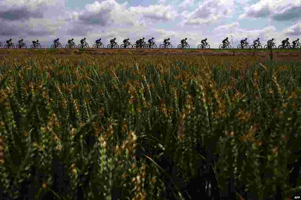 Cyclists ride in the countryside with wheat fields in foreground during the third stage of the 106th edition of the Tour de France cycling race between Binche and Epernay, Belgium.