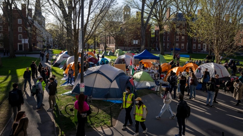 US student protests challenge balance of speech rights, university policies