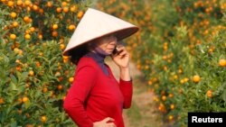 Một trong những lý do tốc độ truyền dữ liệu di động của Việt Nam còn rất chậm là vì các nhà cung cấp dịch vụ chỉ tập trung vào việc mở rộng vùng phủ sóng.