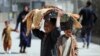 امریکا ۱۴۴ میلیون دالر برای افغانستان کمک می‌کند