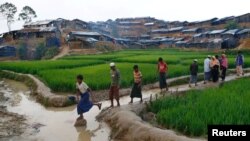 Refugiados rohingya cruzan un canal acuático en el improvisado campo de refugiados en Bangladesh, el 13 de septiembre, de 2013.