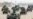 Myanmar's Shadow Government Announces 'Defensive War'