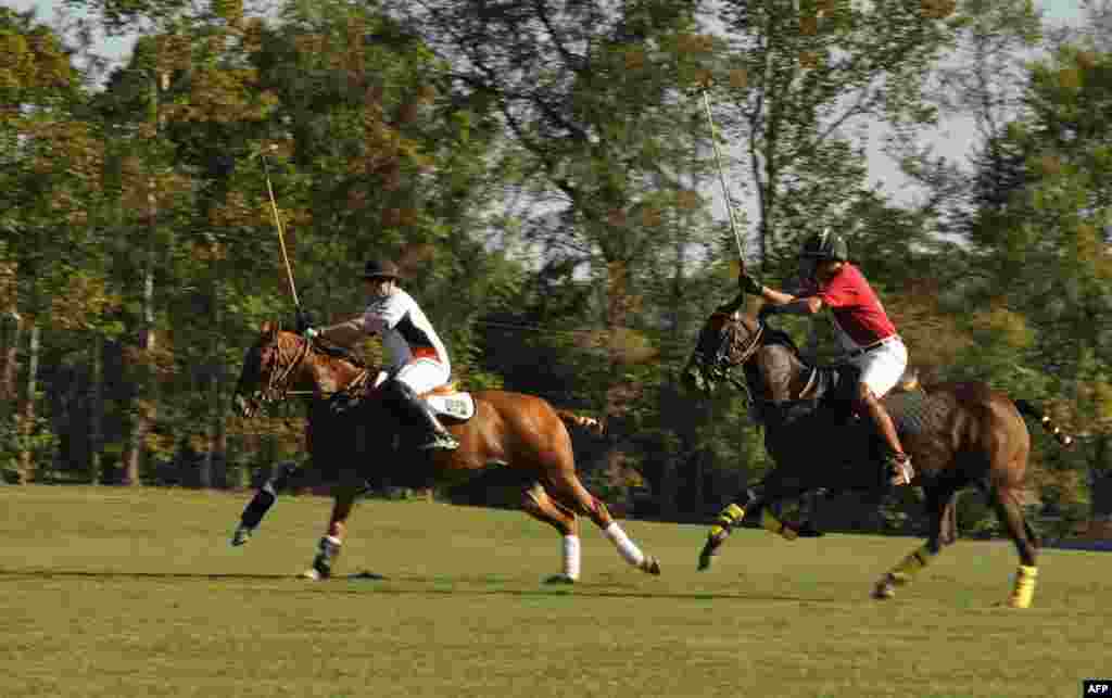 POLO в деревне