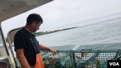 Lobsterman Tom Martin checks his traps off Casco Bay on the Southern coast of Maine. (J. Taboh/VOA News)