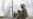 Pentagon Extends Mission at Mexico Border, But Decreases Number of Troops