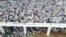 Indonesian Muslims Celebrate Eid Amid Relaxed COVID Measures 