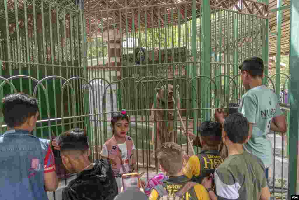 Visitors admire some of the zoo's new residents. Dr. General Mohamed Ragae, head of the Giza Zoo, says the facility recently acquired a brown bear, camels, and an array of reptiles and other animals, Giza, May 2, 2022. (Hamada Elrasam/VOA)