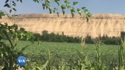 Paxta boykotidan keyingi O'zbekiston /Uzbekistan after the cotton boycott
