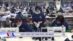 Xuất khẩu Việt Nam phục hồi mạnh