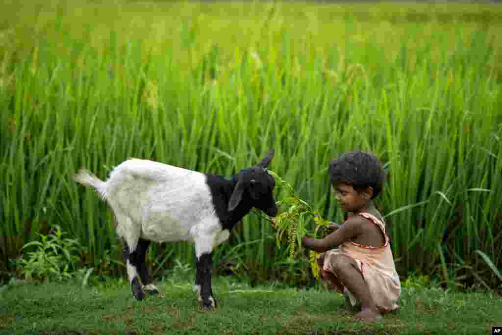 کودک هندی در روستای گاوهتی در ایالت آسام هند