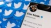 Ilustrasi profil Twitter Elon Musk di samping logo platform tersebut. (Foto: REUTERS/Dado Ruvic)