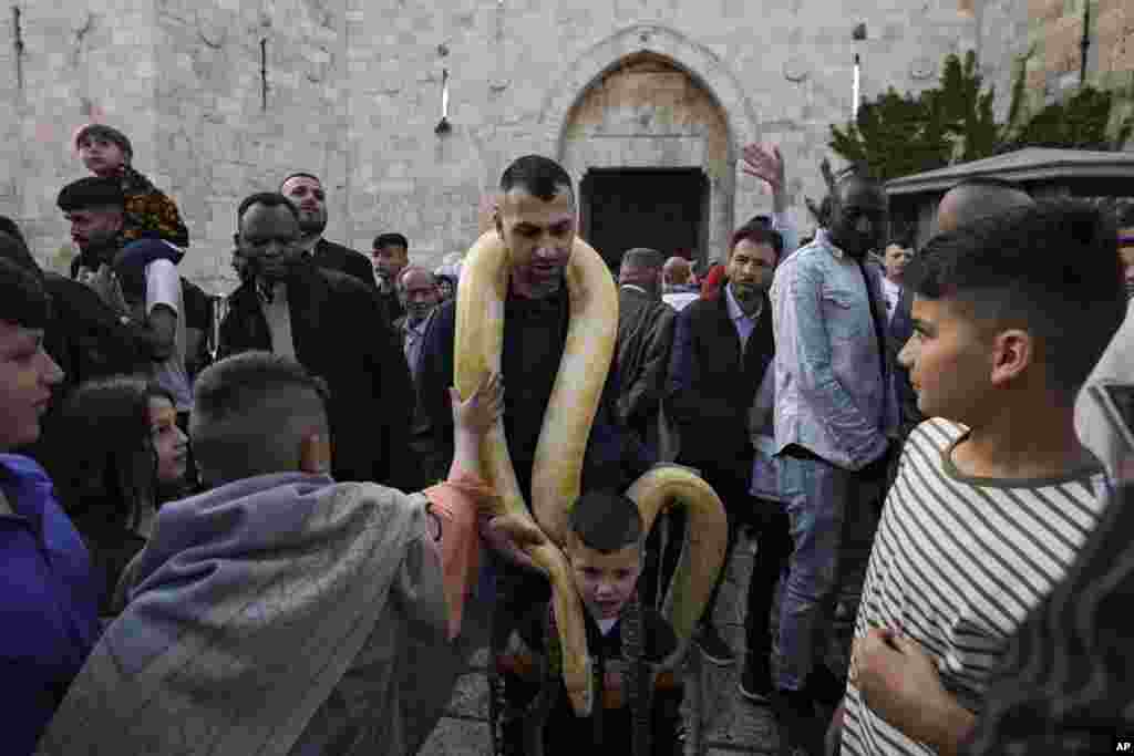 A Palestinian man carries a snake during Eid al-Fitr celebrations in the Old City of Jerusalem.