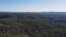 FILE - Trees stand in a habitat populated by koalas in the Greater Blue Mountains World Heritage Area, near Bilpin, Australia, Oct. 13, 2020.