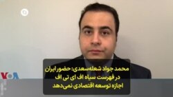 محمد جواد شعله‌سعدی: حضور ایران در فهرست سیاه اف ای تی اف اجازه توسعه اقتصادی نمی‌دهد