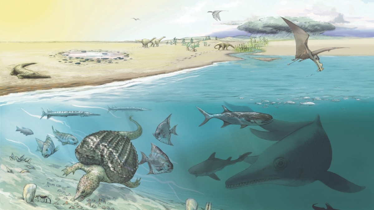 Fossils of Huge Sea Animals Found High in the Swiss Alps