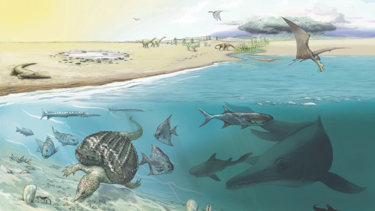 triassic marine animals