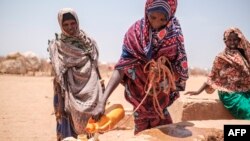 En Ethiopie, on estime qu'entre 5 et 6% de la population est en grave insécurité alimentaire en raison de la sécheresse.
