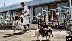 Ro Mantooth walks with his dog Champ, left, and his friend, Petey, at the nonprofit People Assisting the Homeless, in the Venice section of Los Angeles, California, April 5, 2022.