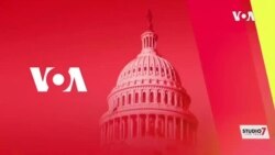 Livetalk Diaspora Forum.mp4