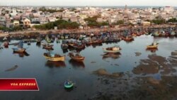 Hội Nghề cá Việt Nam phản đối lệnh cấm đánh bắt cá của Trung Quốc
