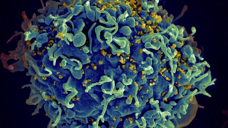 Study: Climate Change Likely to Increase Virus Spread in Animals