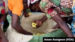 Préparation du beurre de karité par des femmes, au Togo, le 29 octobre 2020. 