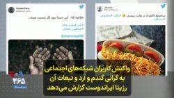 واکنش کاربران شبکه‌های اجتماعی به گرانی گندم و آرد و تبعات آن؛ رزیتا ایراندوست گزارش می‌دهد