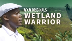 Preview: Wetland Warrior
