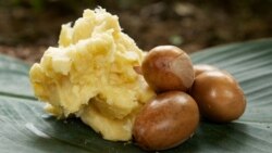 Le beurre de karité, un marché moderne pour un savoir ancestral