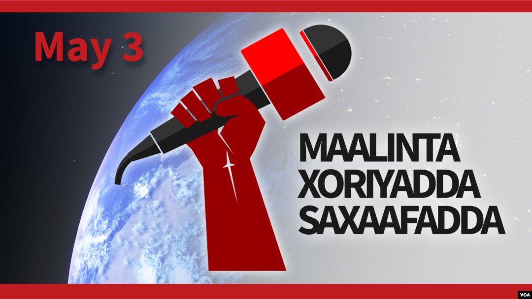 Maalinta Xoriyadda Saxaafadda