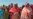 Thousands continue to flee Sudan every day as conflict rages