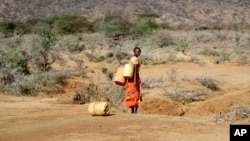 FILE - A Samburu woman fetches water during a drought in Loolkuniyani Primary School, Samburu County, Kenya, Oct. 16, 2022. (AP Photo/Brian Inganga, File)
