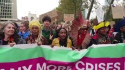 Kenyan Tree Activist Wathuti Speaks Up for Africa at COP27