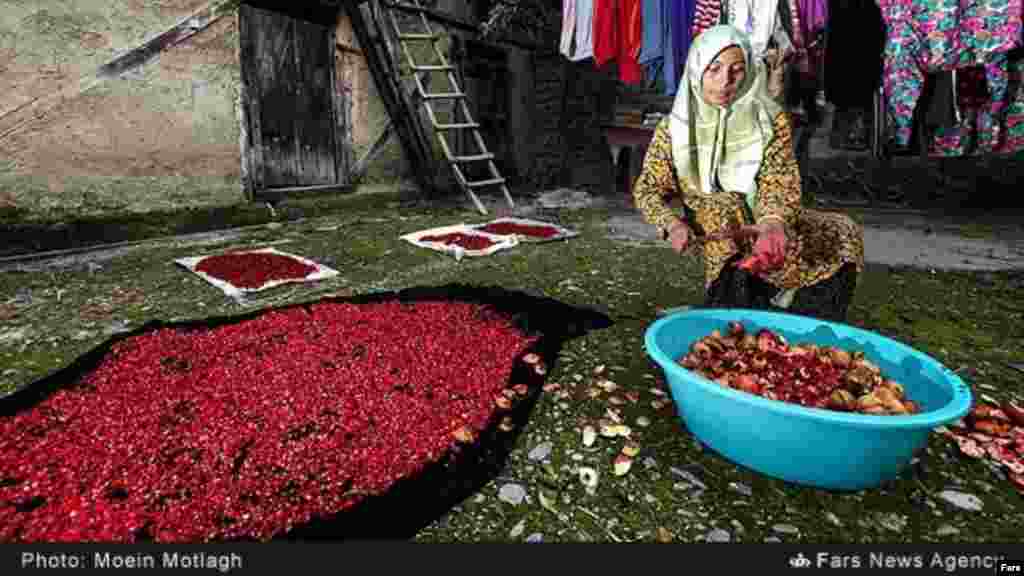 پخت ترشی انار. در روستای بالا جاده گلستان بخش زیادی از اقتصاد روستاییان از فروش محصولات انار ترش و شیرین جنگلی است. عکس: معین مطلق، فارس