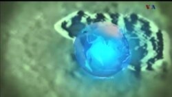 اخبار شامگاهی