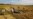 Cambodian Land Concessions Deepen Poverty, Report Says