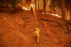 FILE - A firefighter continues to hold the line of the Dixie Fire near Taylorsville, Calif., Aug. 10, 2021.