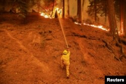 FILE - A firefighter continues to hold the line of the Dixie Fire near Taylorsville, Calif., Aug. 10, 2021.
